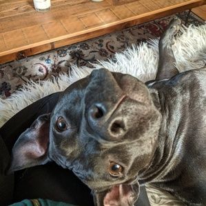 Meet your Posher, Anna